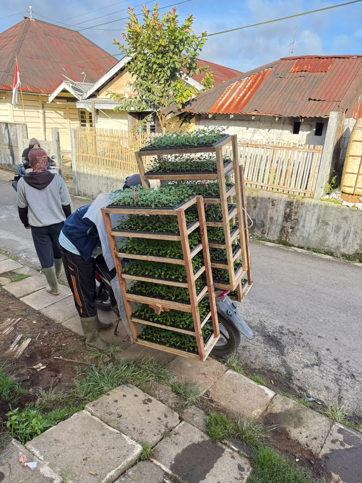 Pengiriman stek mini