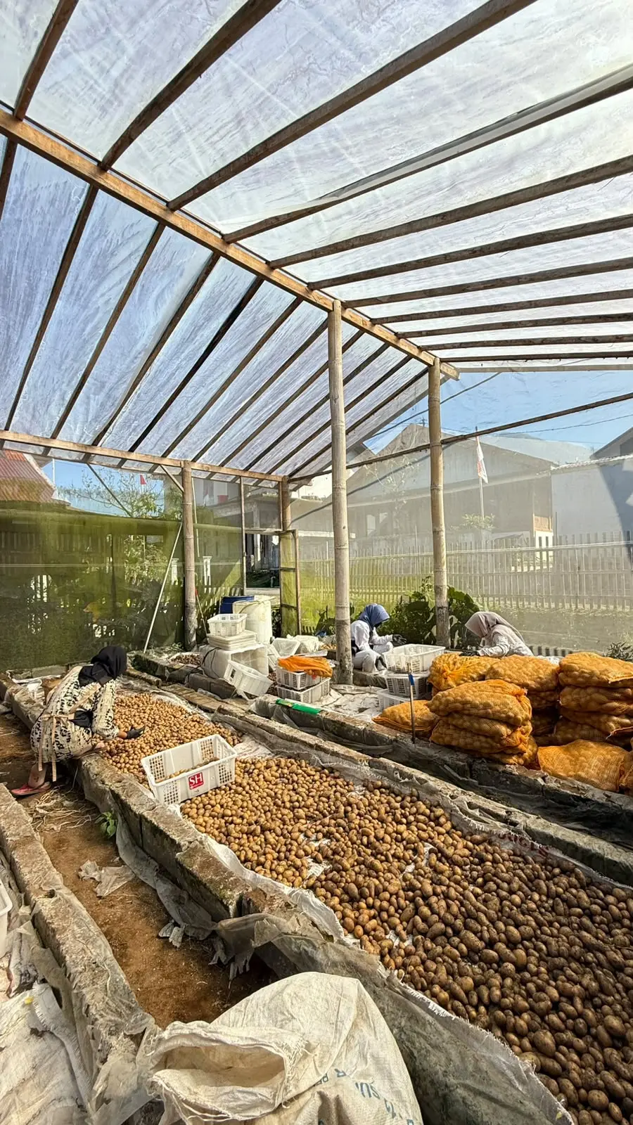 Greenhouse